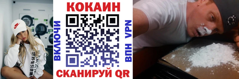Cocaine FishScale  Купить где  Менделеевск 