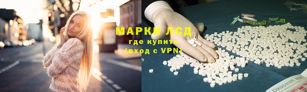 ешки Гусев