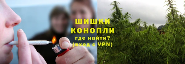 apvp Горнозаводск