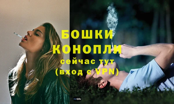 apvp Горнозаводск
