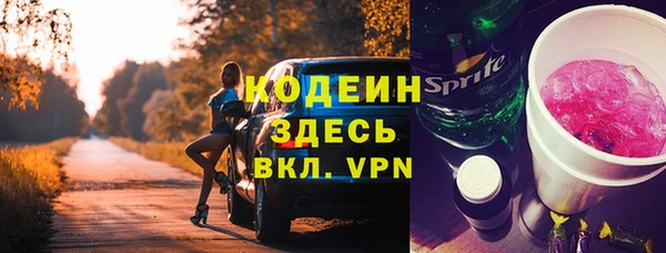 apvp Горнозаводск