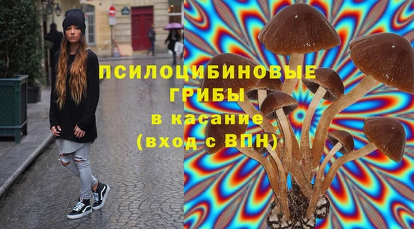твердый Гусь-Хрустальный